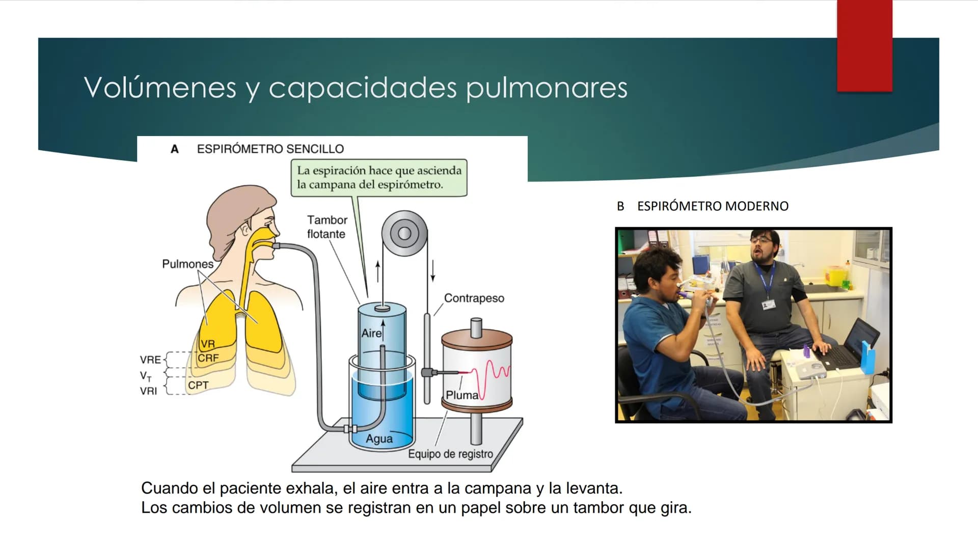 SANTO TOM
LUX ET VERITAS
SANTO
TOMAS Fisiología
Ventilación
Pulmonar
DRA. ROSANA MUÑOZ VIDELA
RDELVALLE2@SANTOTOMAS.CL
DEPARTAMENTO DE TECNO