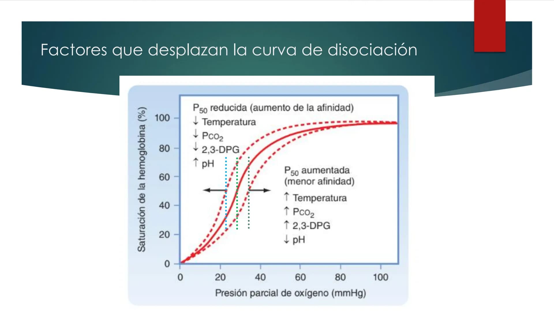 SANTO TOM
LUX ET VERITAS
SANTO
TOMAS Fisiología
Ventilación
Pulmonar
DRA. ROSANA MUÑOZ VIDELA
RDELVALLE2@SANTOTOMAS.CL
DEPARTAMENTO DE TECNO
