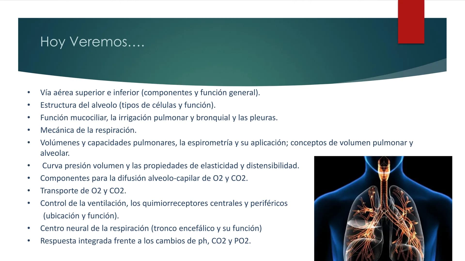 SANTO TOM
LUX ET VERITAS
SANTO
TOMAS Fisiología
Ventilación
Pulmonar
DRA. ROSANA MUÑOZ VIDELA
RDELVALLE2@SANTOTOMAS.CL
DEPARTAMENTO DE TECNO