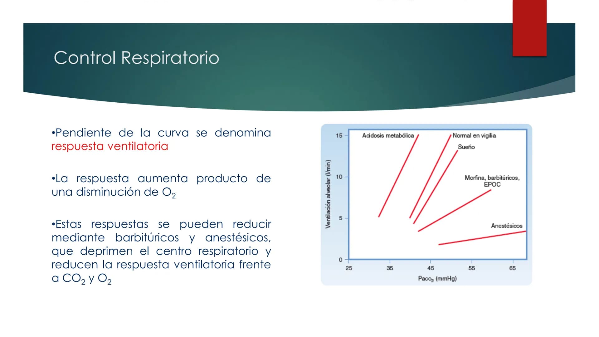 SANTO TOM
LUX ET VERITAS
SANTO
TOMAS Fisiología
Ventilación
Pulmonar
DRA. ROSANA MUÑOZ VIDELA
RDELVALLE2@SANTOTOMAS.CL
DEPARTAMENTO DE TECNO