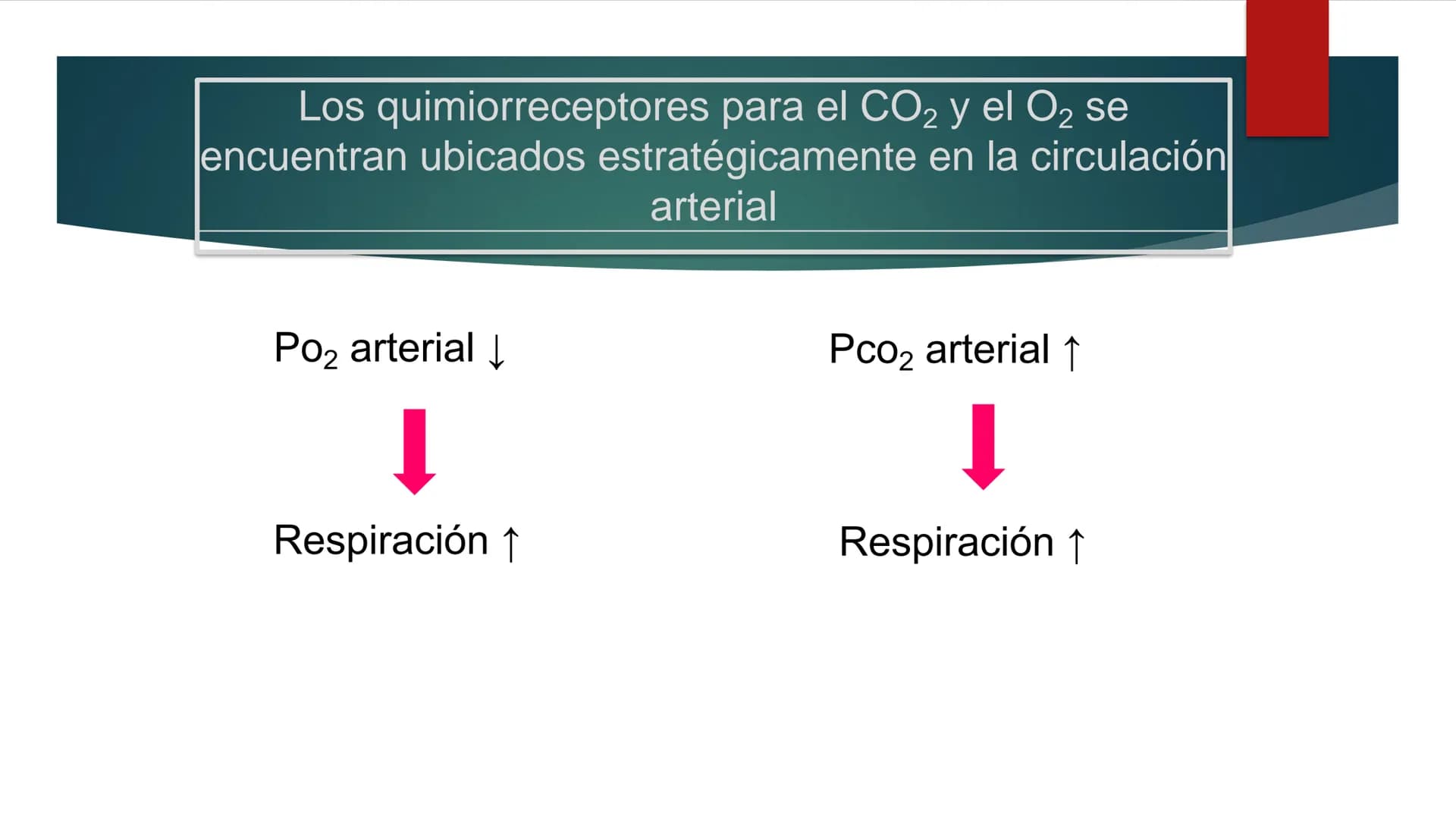 SANTO TOM
LUX ET VERITAS
SANTO
TOMAS Fisiología
Ventilación
Pulmonar
DRA. ROSANA MUÑOZ VIDELA
RDELVALLE2@SANTOTOMAS.CL
DEPARTAMENTO DE TECNO