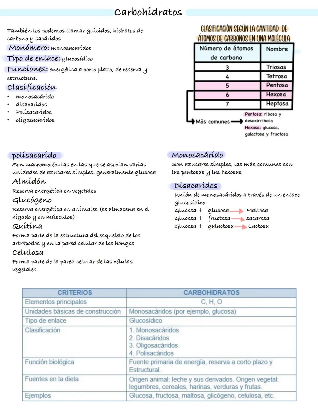 Método científico
• El método científico es el estudio empírico
controlado, crítico y sistemático de hipótesis
que intentan explicar presunt