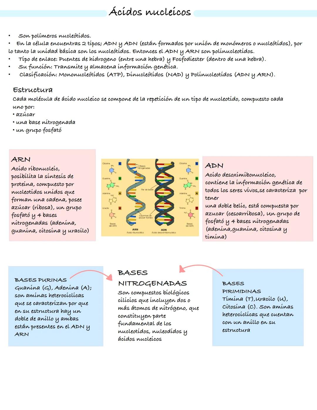 Método científico
• El método científico es el estudio empírico
controlado, crítico y sistemático de hipótesis
que intentan explicar presunt