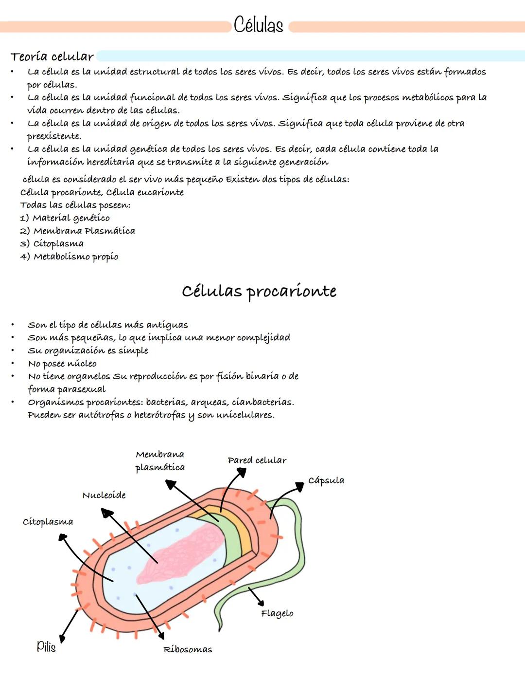Método científico
• El método científico es el estudio empírico
controlado, crítico y sistemático de hipótesis
que intentan explicar presunt