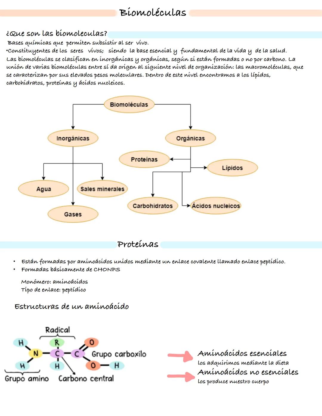 Método científico
• El método científico es el estudio empírico
controlado, crítico y sistemático de hipótesis
que intentan explicar presunt