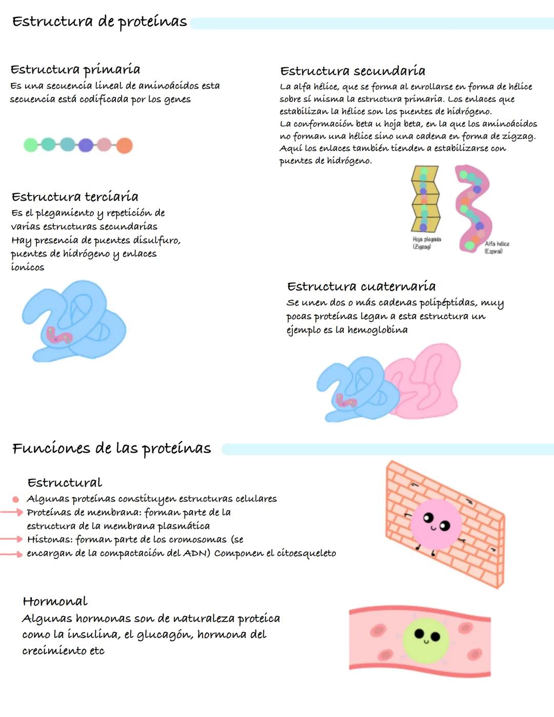 Método científico
• El método científico es el estudio empírico
controlado, crítico y sistemático de hipótesis
que intentan explicar presunt