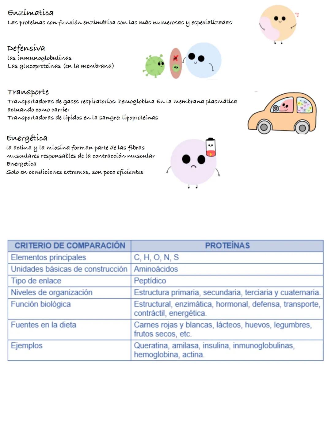 Método científico
• El método científico es el estudio empírico
controlado, crítico y sistemático de hipótesis
que intentan explicar presunt