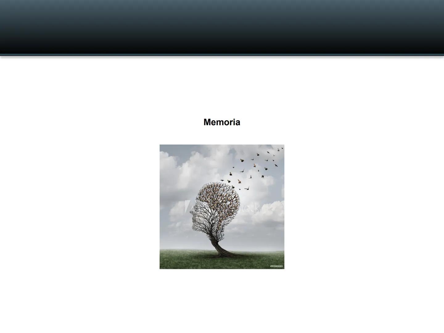Memoria # Modelo Modal de la mente
Entrada sensorial → Memoria Sensorial → Atención → Memoria de Trabajo → Codificación → Memoria de la
