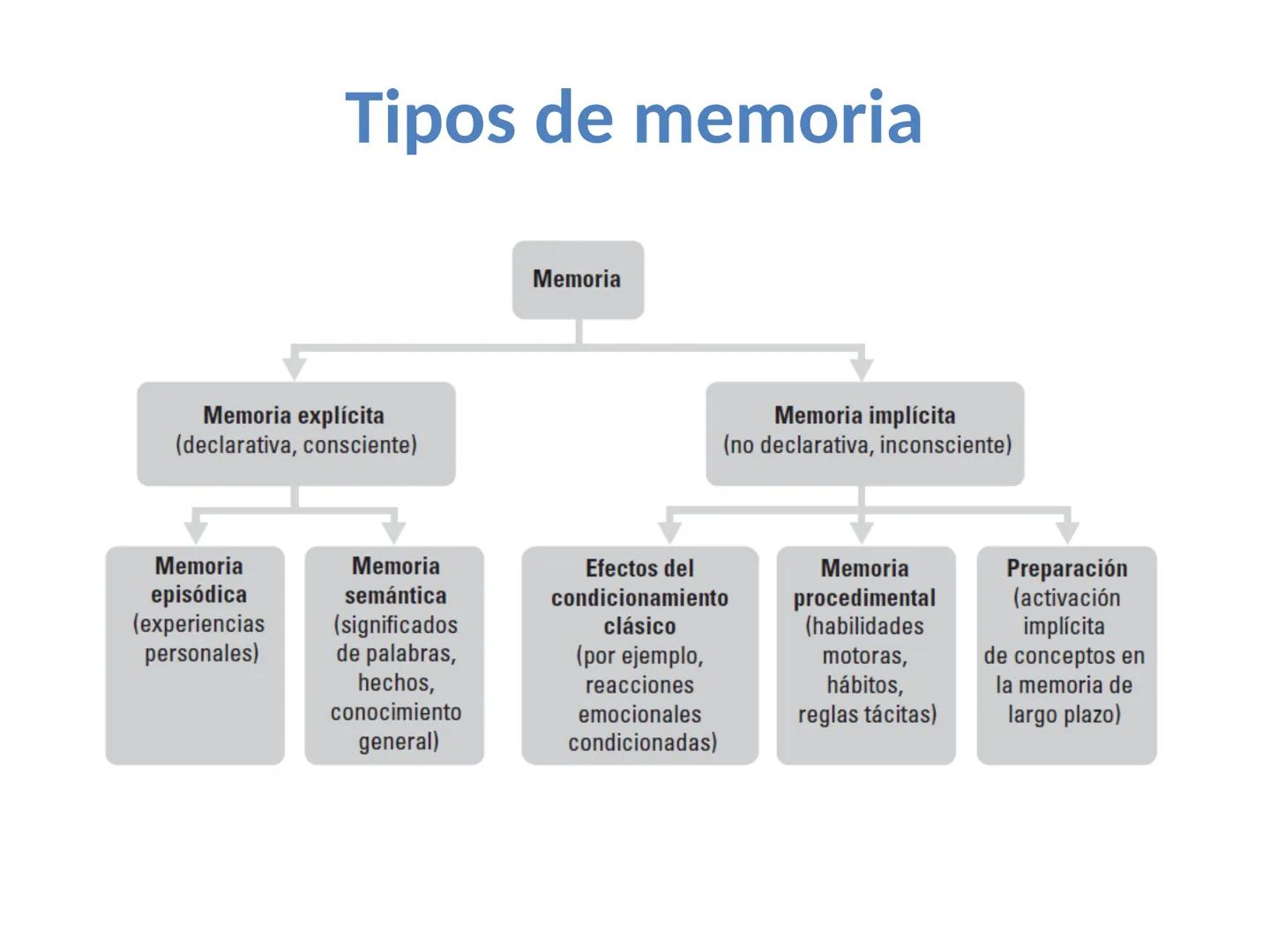 Memoria # Modelo Modal de la mente
Entrada sensorial → Memoria Sensorial → Atención → Memoria de Trabajo → Codificación → Memoria de la