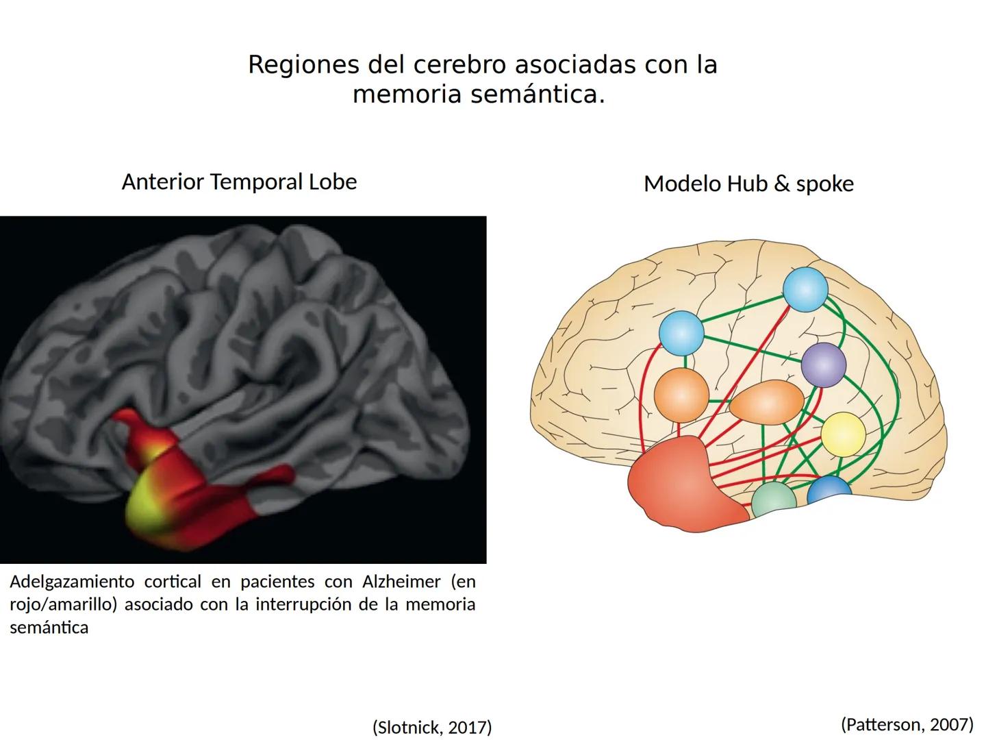 Memoria # Modelo Modal de la mente
Entrada sensorial → Memoria Sensorial → Atención → Memoria de Trabajo → Codificación → Memoria de la