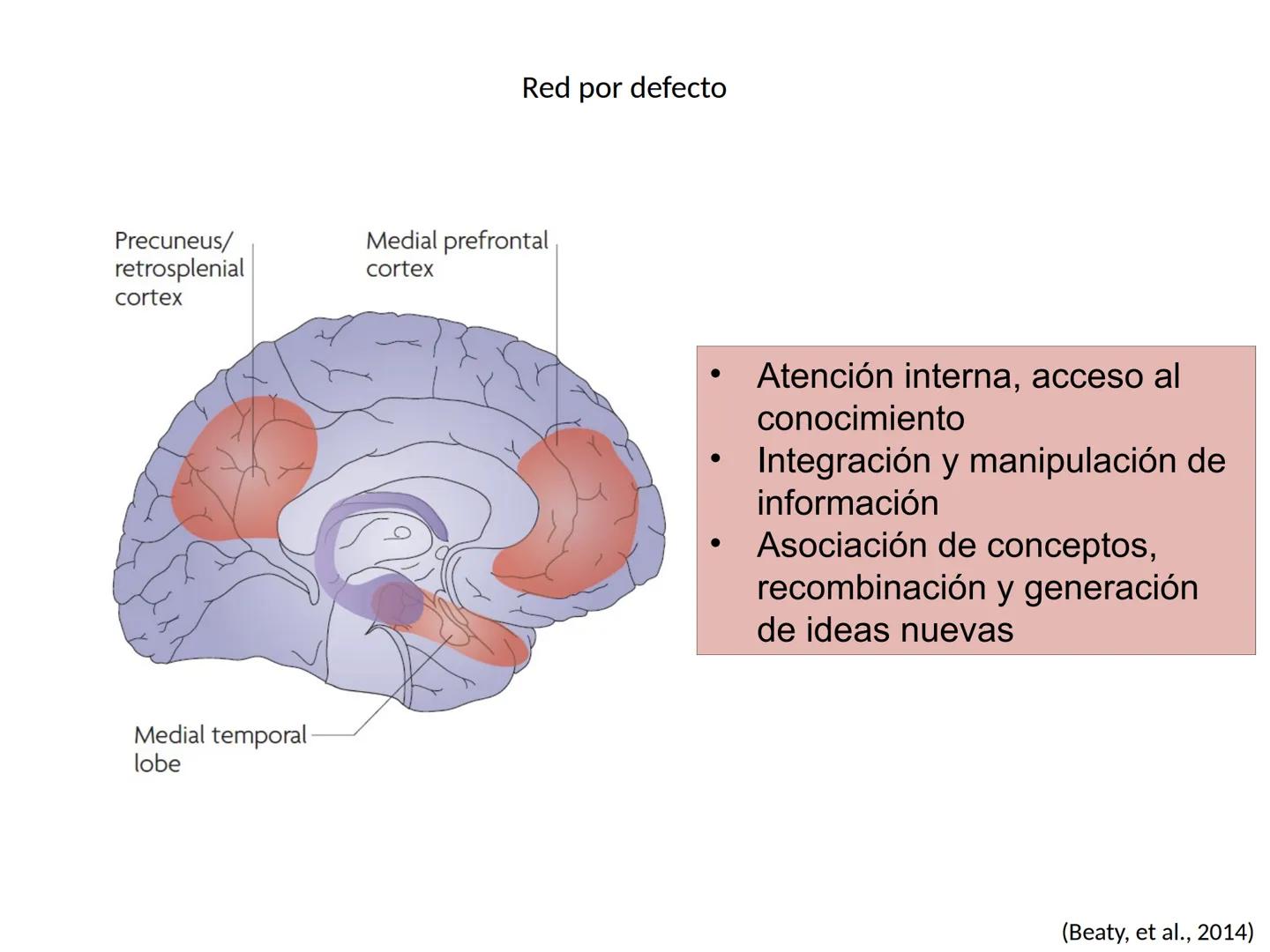 Memoria # Modelo Modal de la mente
Entrada sensorial → Memoria Sensorial → Atención → Memoria de Trabajo → Codificación → Memoria de la