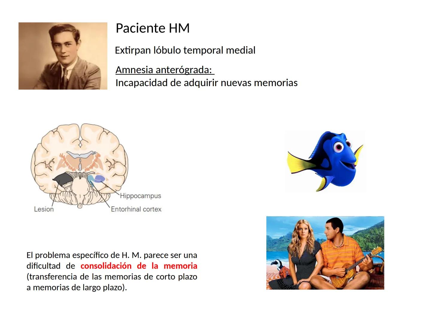 Memoria # Modelo Modal de la mente
Entrada sensorial → Memoria Sensorial → Atención → Memoria de Trabajo → Codificación → Memoria de la