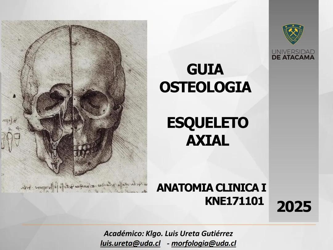 Osteologia