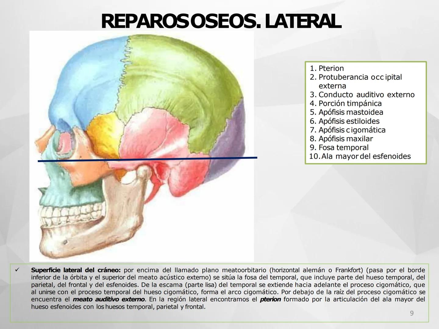 # GUIA
# OSTEOlOGIA
# ESQUELETO
# AXIAL
ANATOMIA CLINICA I
KNE171101
2025
Académico: Klgo. Luis Ureña Gutiérrez
luis.ureta@uda.cl - morf