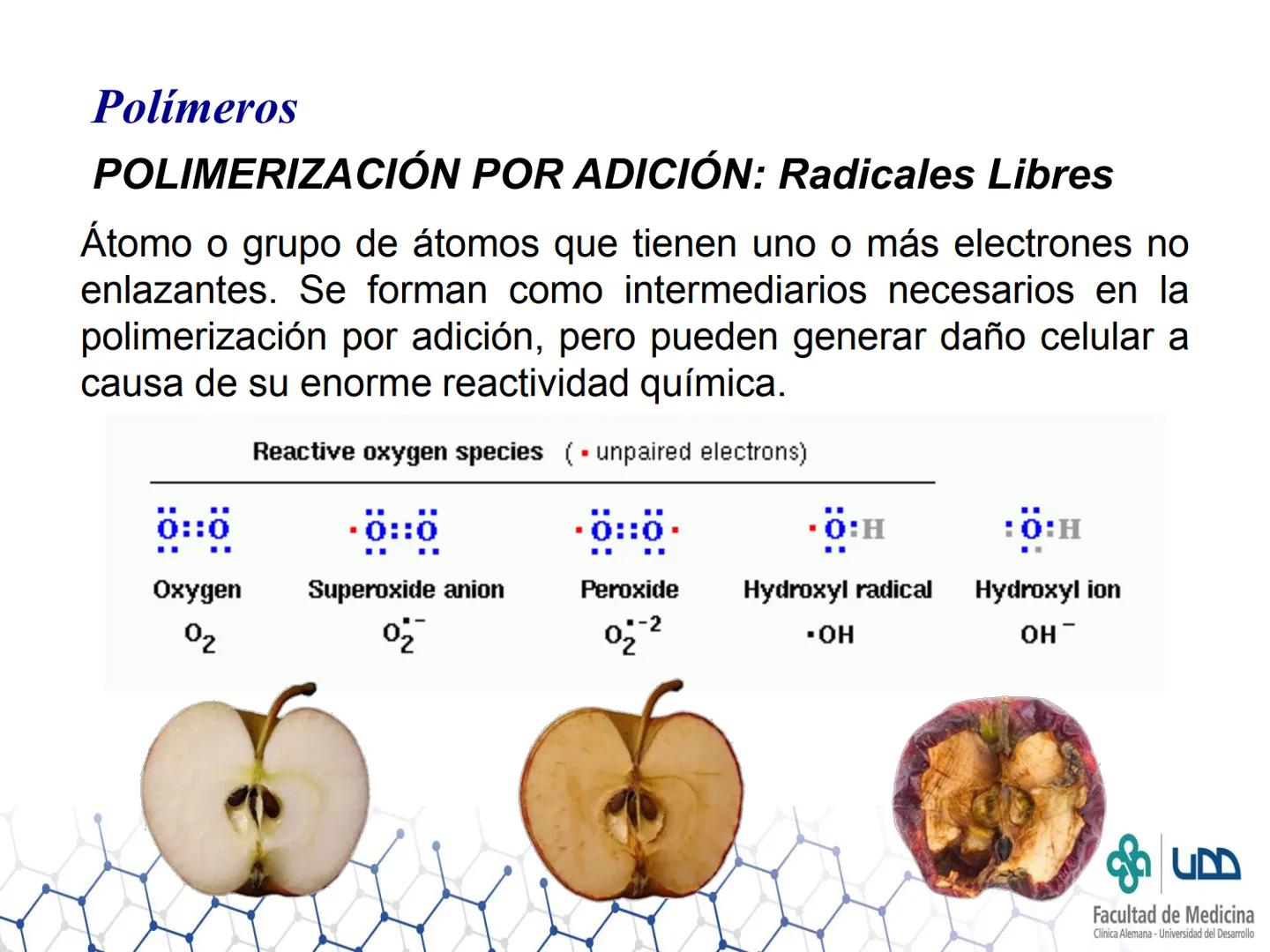 CB
Facultad de Medicina
Clínica Alemana - Universidad del Desarrollo
Polímeros
Sergio Rivera F. - sergio.rivera@udd.cl
Carmen Navarro M.- ca