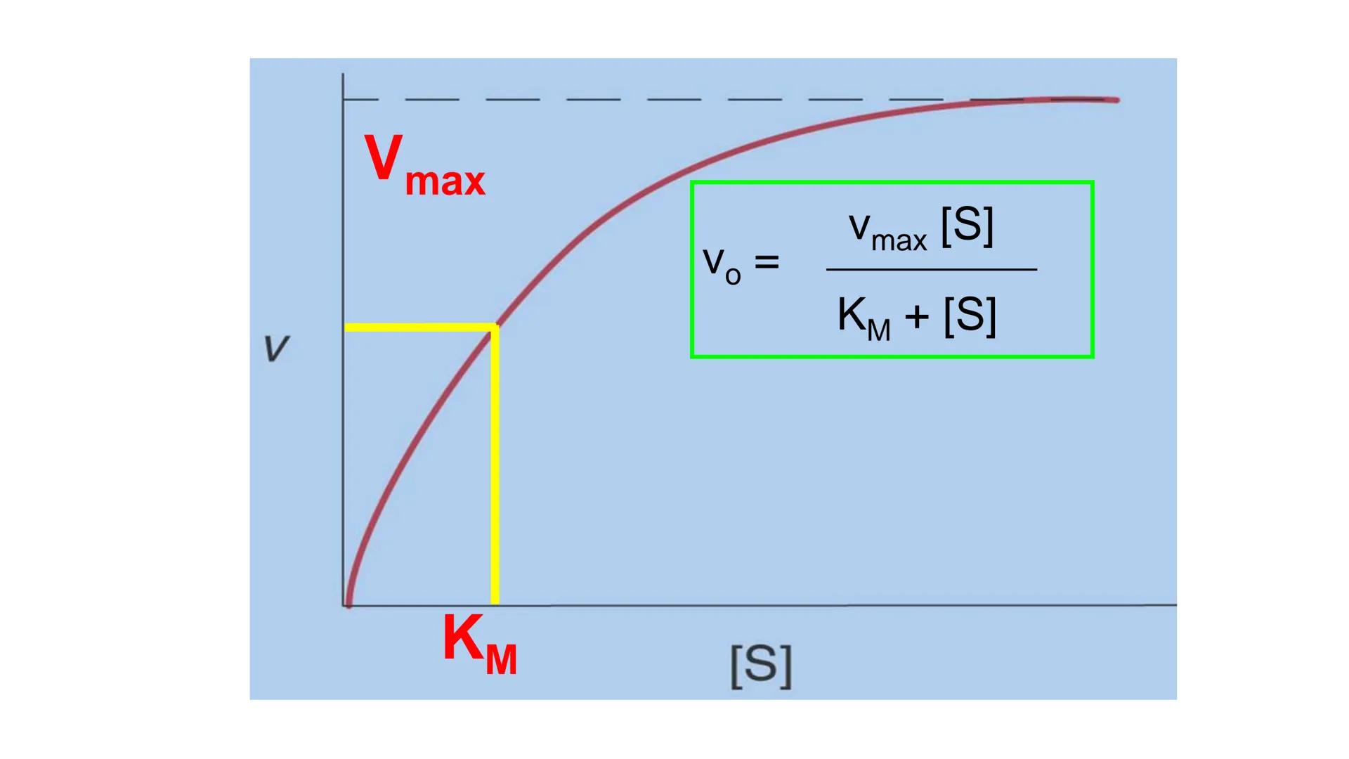 --- OCR Start ---
Energía Liberada
Energía Otorgada
Proteólisis
UNIVERSIDAD ANDRES
TRADICION
UNIVERSIDAD
ANDRES BELLO
REPASO SOLEMNE 3
BIOL