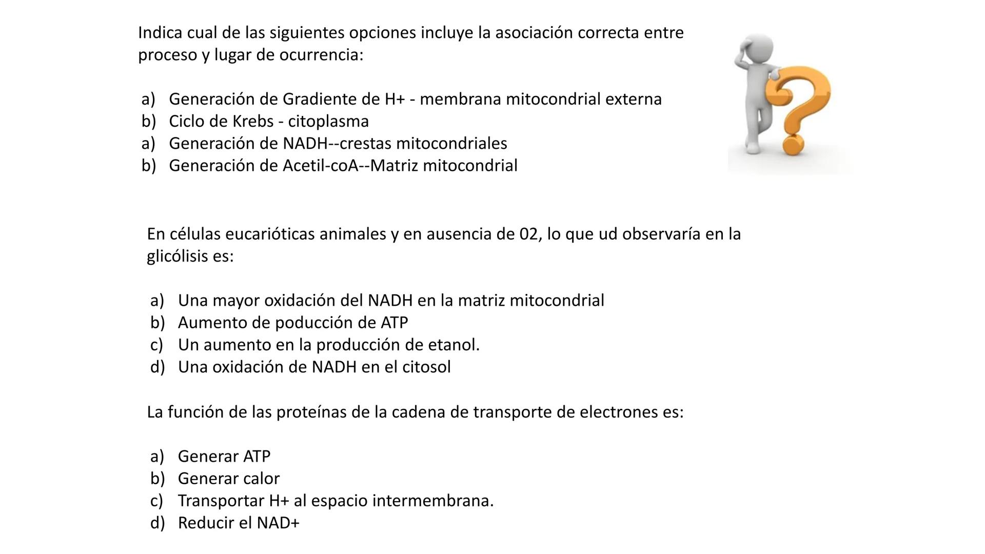 --- OCR Start ---
Energía Liberada
Energía Otorgada
Proteólisis
UNIVERSIDAD ANDRES
TRADICION
UNIVERSIDAD
ANDRES BELLO
REPASO SOLEMNE 3
BIOL