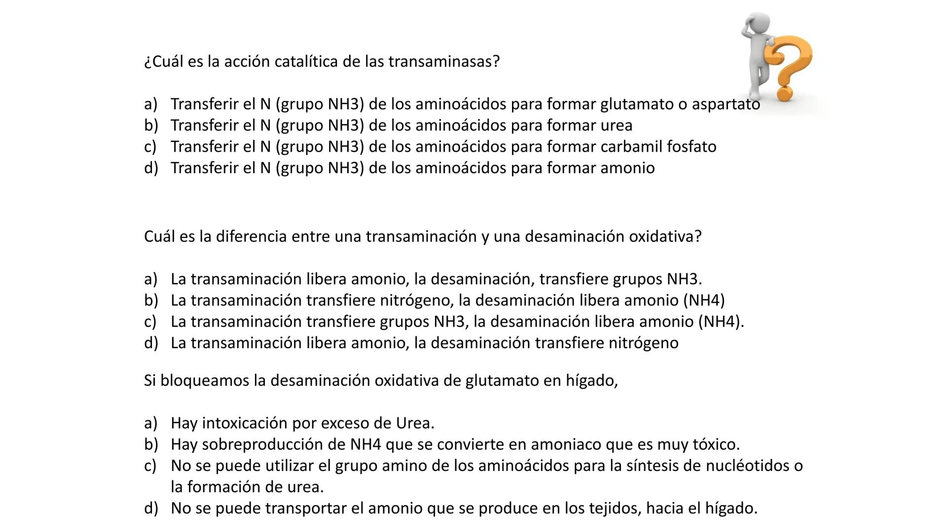 --- OCR Start ---
Energía Liberada
Energía Otorgada
Proteólisis
UNIVERSIDAD ANDRES
TRADICION
UNIVERSIDAD
ANDRES BELLO
REPASO SOLEMNE 3
BIOL
