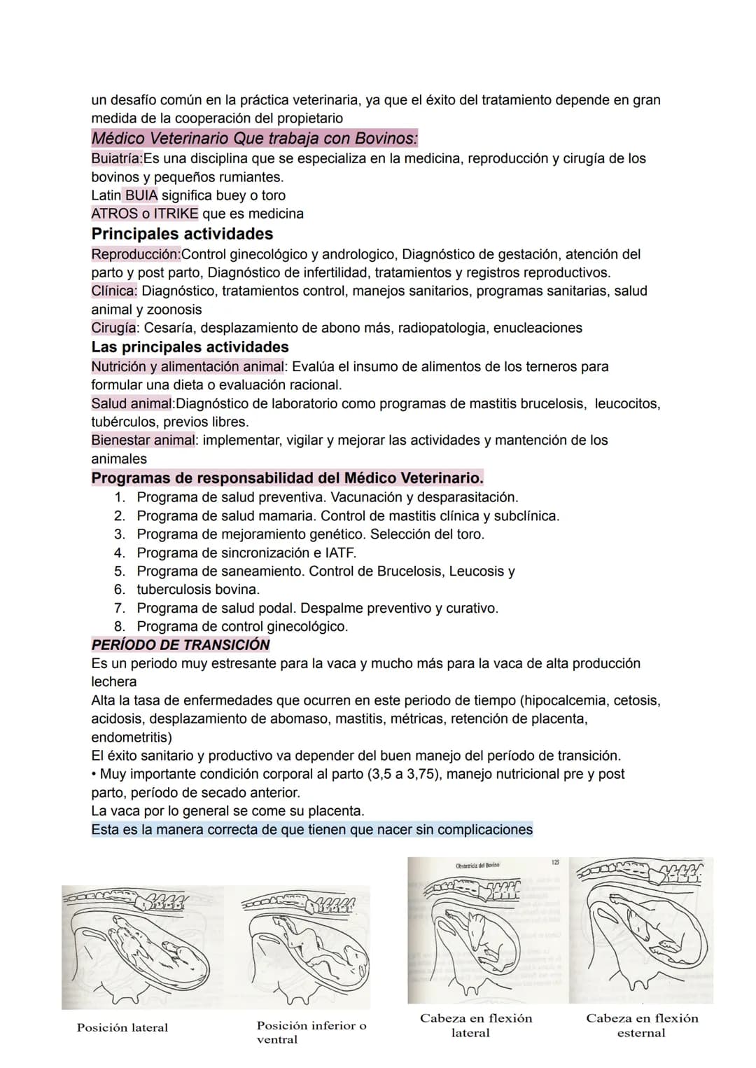 Rol del médico veterinario en animales pequeños: (Definicion)
Este garantiza la salud y bienestar de las mascotas desempeñando un papel esen