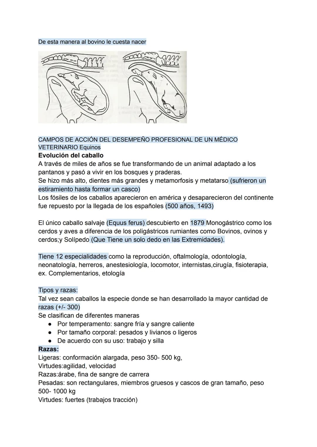 Rol del médico veterinario en animales pequeños: (Definicion)
Este garantiza la salud y bienestar de las mascotas desempeñando un papel esen