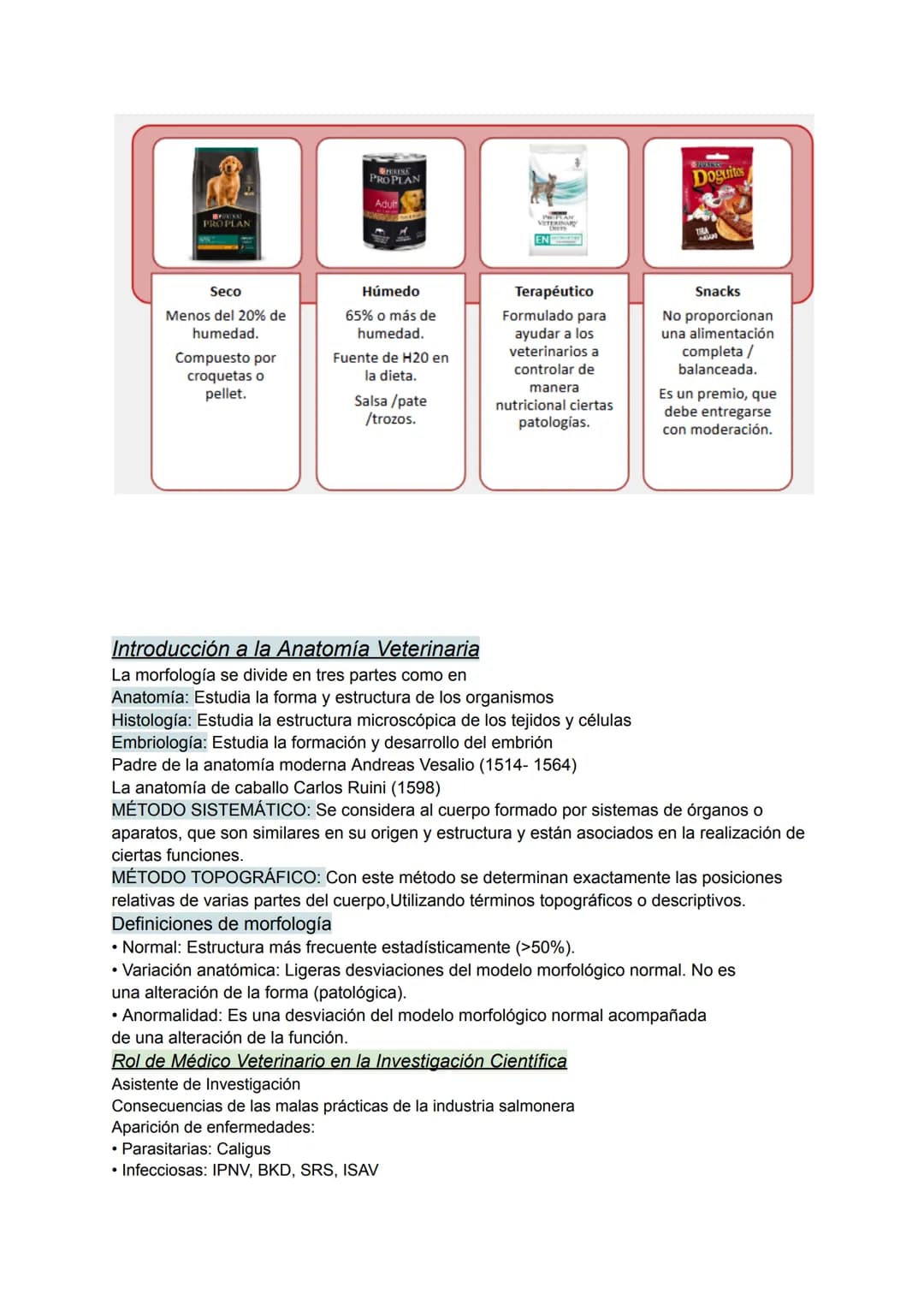 Rol del médico veterinario en animales pequeños: (Definicion)
Este garantiza la salud y bienestar de las mascotas desempeñando un papel esen