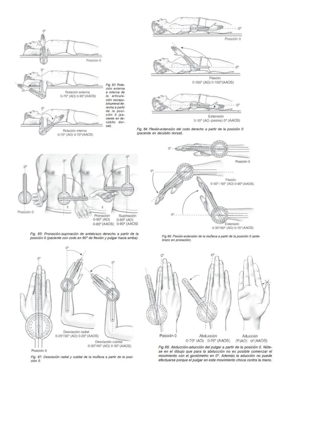 90°
90°
Posición 0
Flexión
0-35°/45° (AO)
0-45° (AAOS)
Extensión
0-35/45°(AO)
0-45° (AAOS)
Fig. 67: Flexión-extensión cervical a partir de l