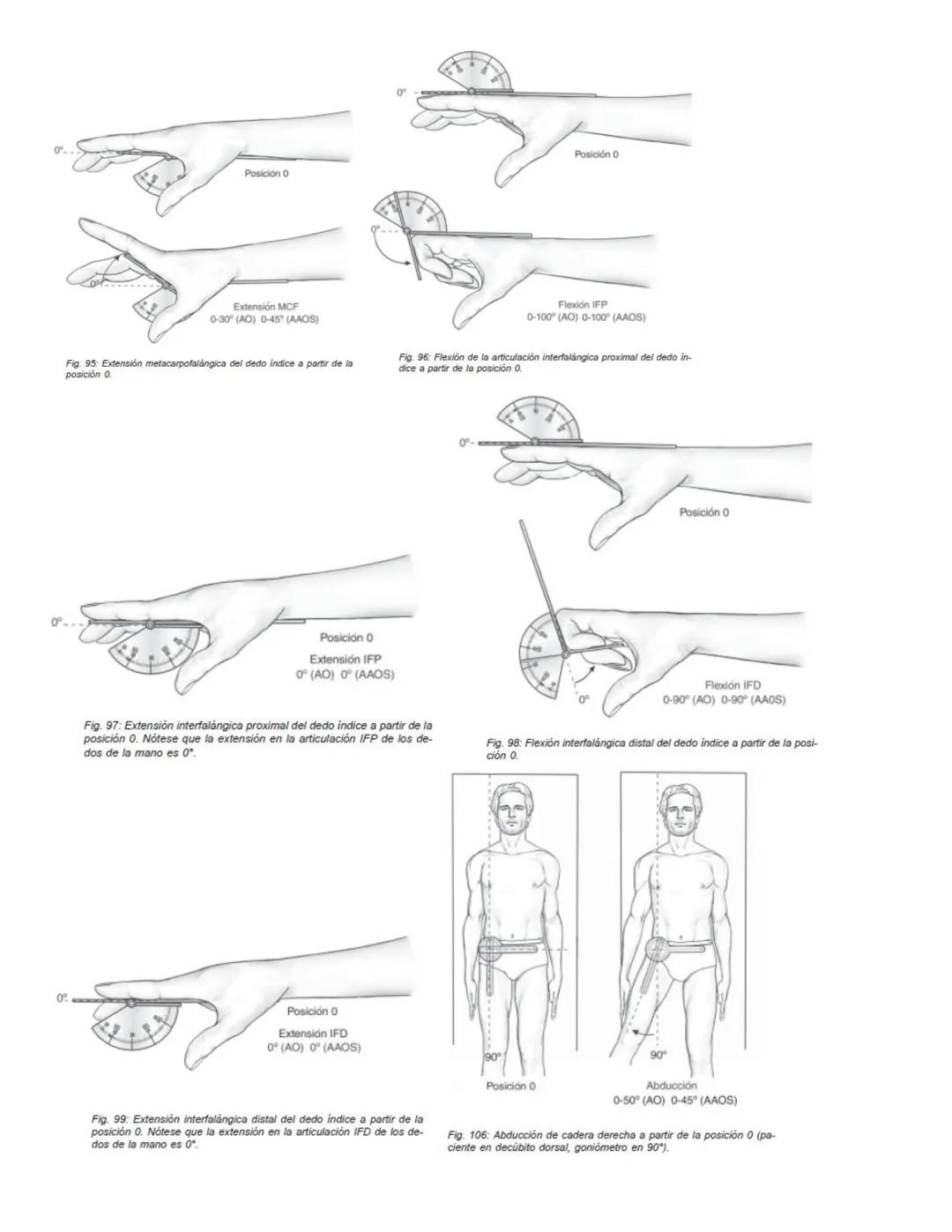 90°
90°
Posición 0
Flexión
0-35°/45° (AO)
0-45° (AAOS)
Extensión
0-35/45°(AO)
0-45° (AAOS)
Fig. 67: Flexión-extensión cervical a partir de l