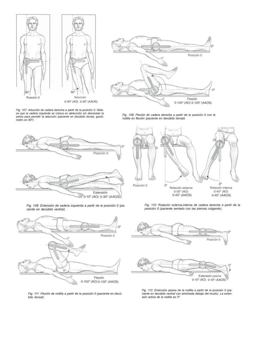 90°
90°
Posición 0
Flexión
0-35°/45° (AO)
0-45° (AAOS)
Extensión
0-35/45°(AO)
0-45° (AAOS)
Fig. 67: Flexión-extensión cervical a partir de l
