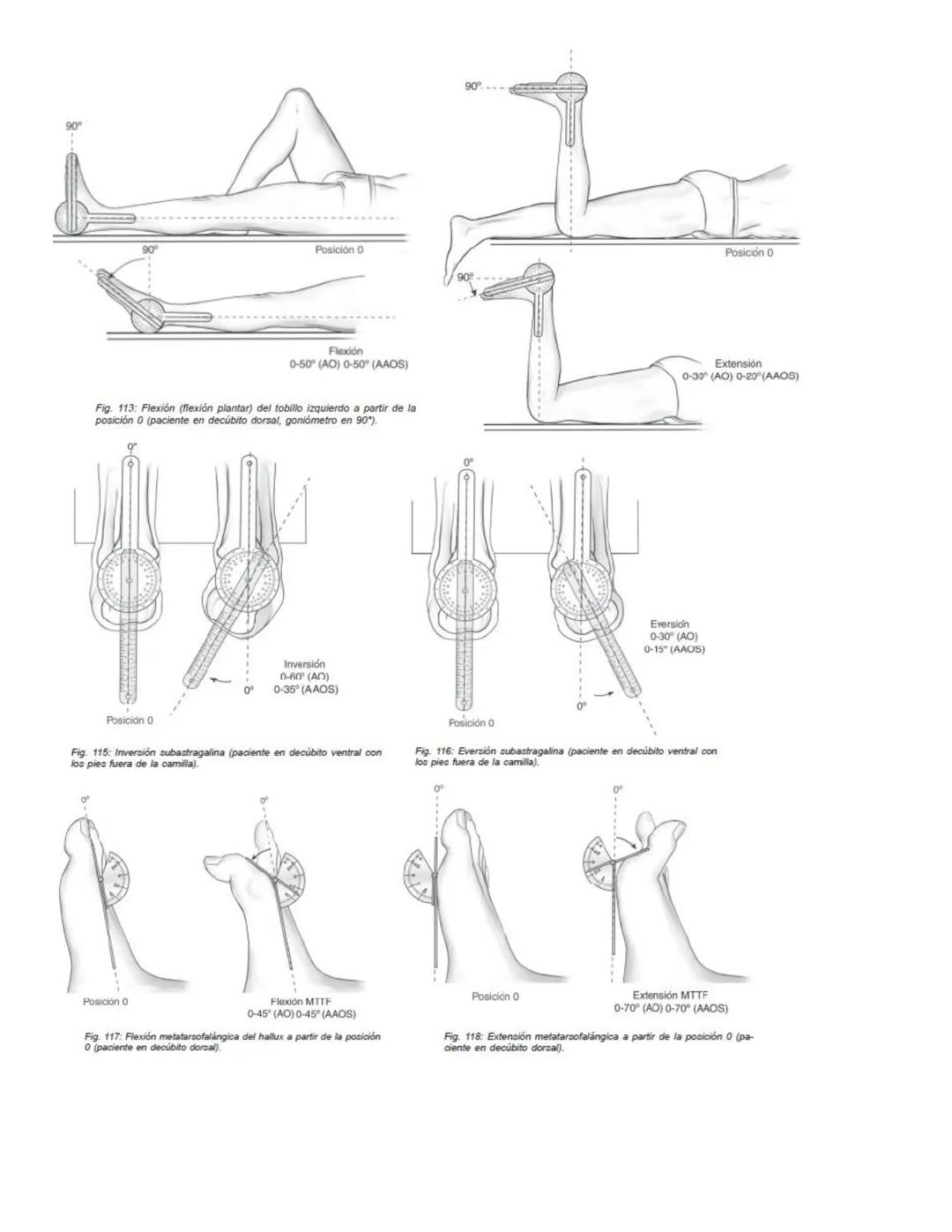 90°
90°
Posición 0
Flexión
0-35°/45° (AO)
0-45° (AAOS)
Extensión
0-35/45°(AO)
0-45° (AAOS)
Fig. 67: Flexión-extensión cervical a partir de l