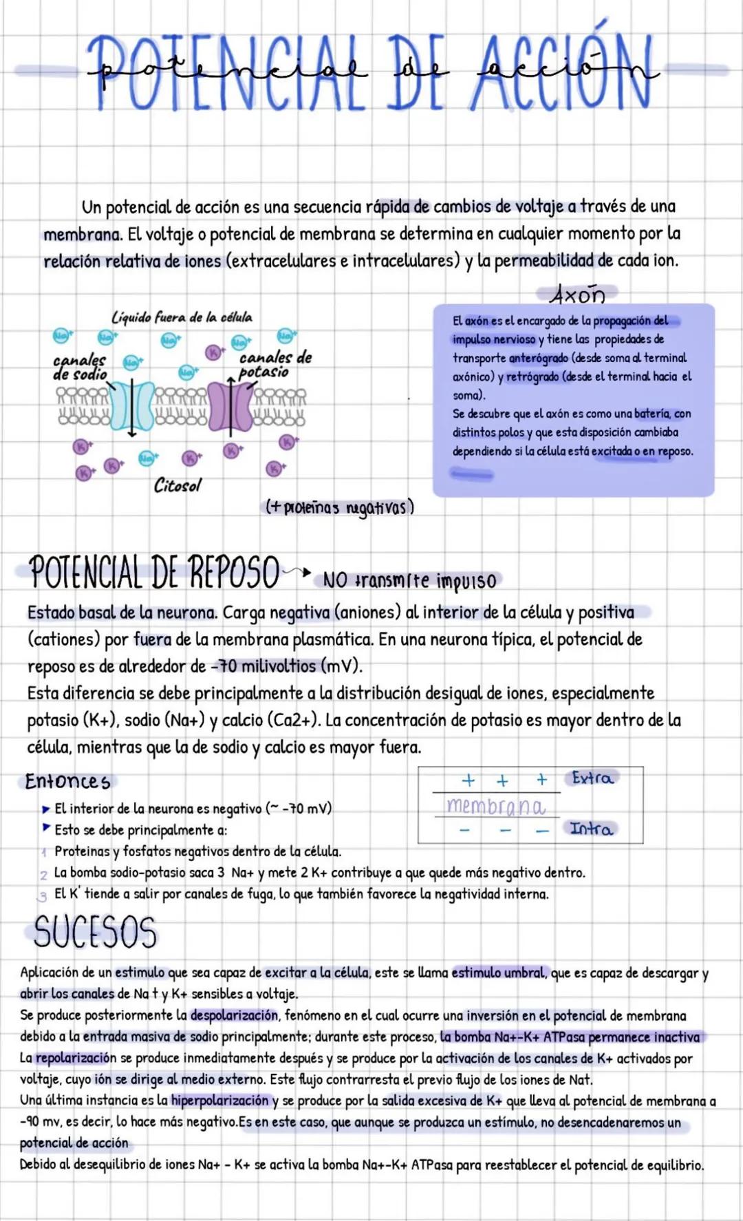 POTENCIAL DE ACCIÓN
Un potencial de acción es una secuencia rápida de cambios de voltaje a través de una
membrana. El voltaje o potencial de