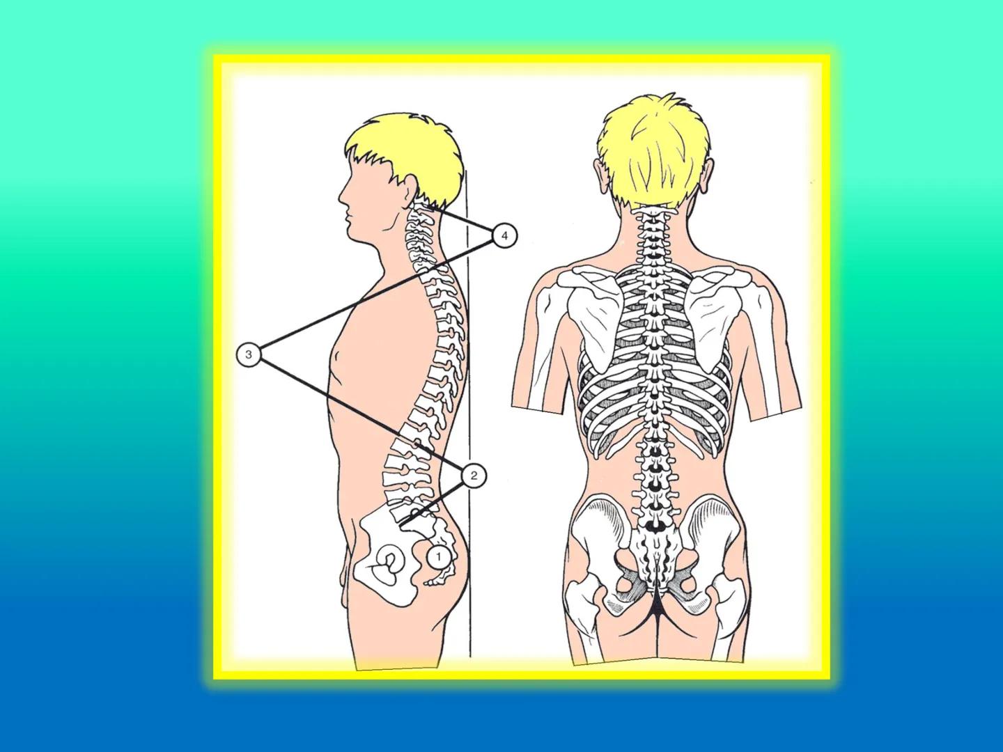 # OSTEOLOGíA DE LA
COLUMNA
VERTEBRAL
KLGO. HUGO LOPEZ PERIC. # Posture Analysis
This image shows a posture analysis with numbered points