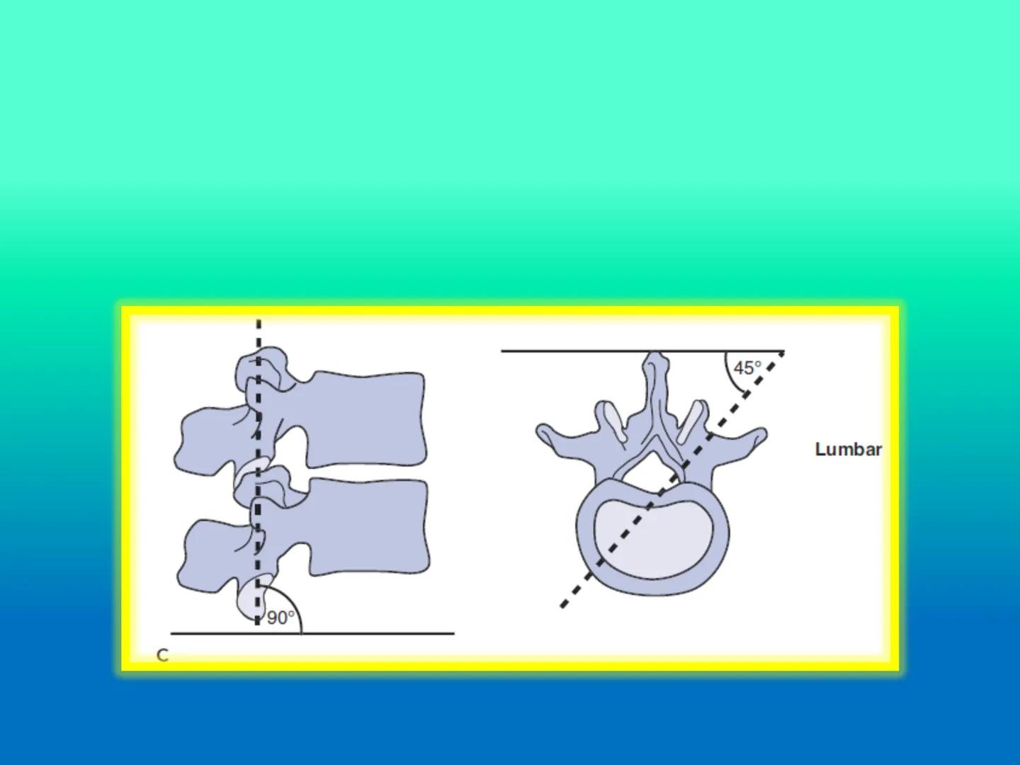 # OSTEOLOGíA DE LA
COLUMNA
VERTEBRAL
KLGO. HUGO LOPEZ PERIC. # Posture Analysis
This image shows a posture analysis with numbered points
