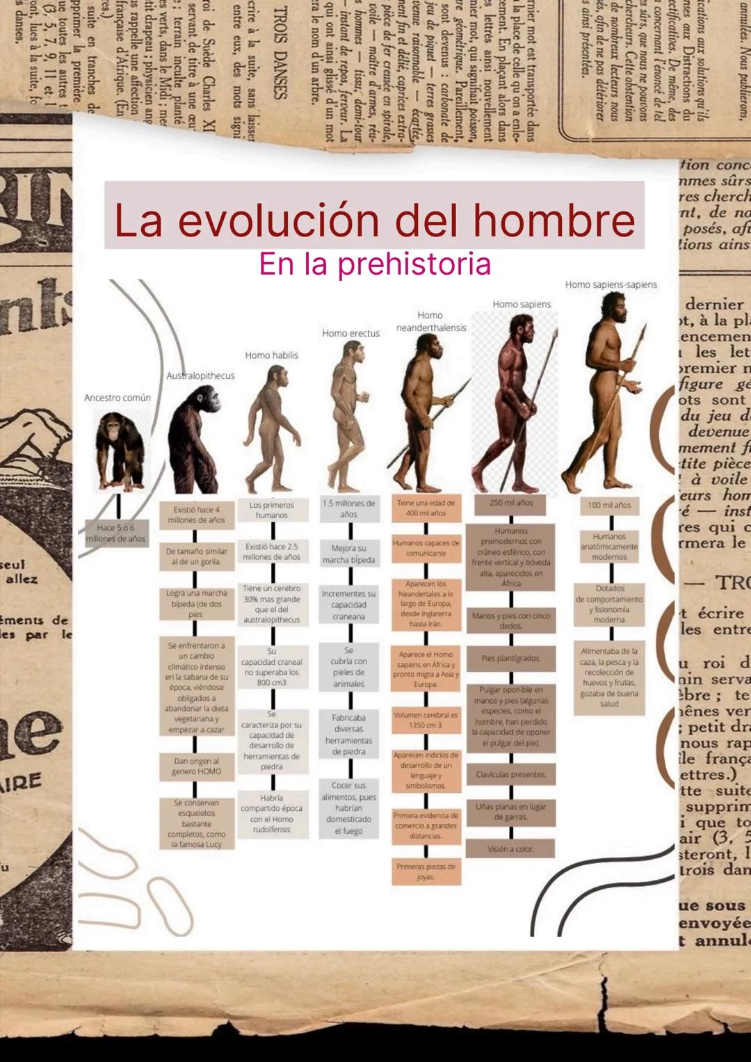 Ing to find hap
tion that you don'r
use we're com
people
really
us on the
Historia
y
Geografia
LAS ETAPAS DEL LA PREHISTORIA
Maite Silva 7MO