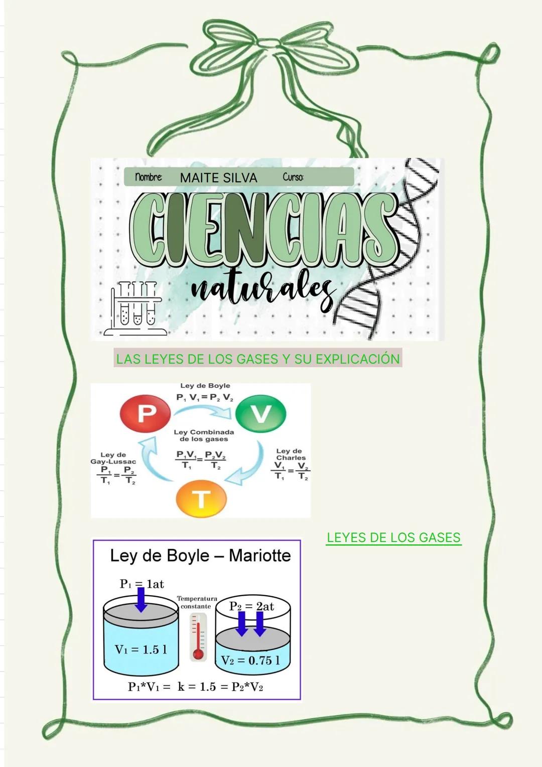 LAS LEYES DE LOS GASES