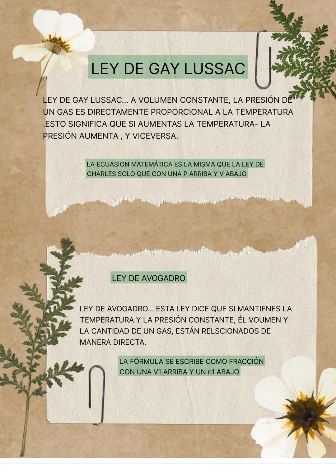 Nombre
MAITE SILVA Curso
CIENCIAS
naturales
LAS LEYES DE LOS GASES Y SU EXPLICACIÓN
Ley de
Gay-Lussac
P₁
누구
Ley de Boyle
P₁V₁ = P₂V₂
P
V
Ley