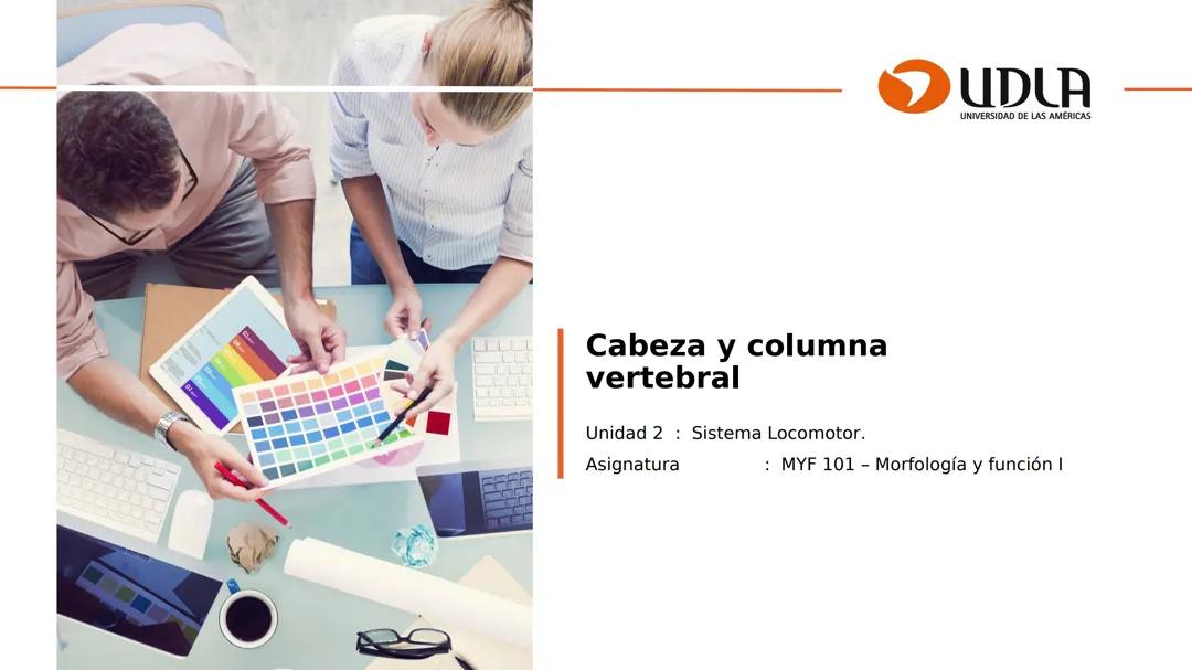 Columna vertebral y cabeza