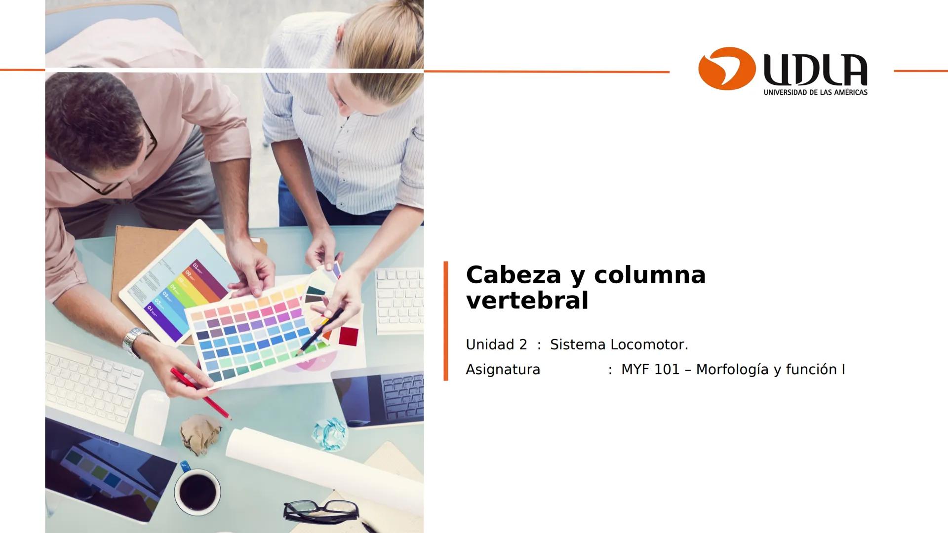 03
01
02
04
UDLA
UNIVERSIDAD DE LAS AMÉRICAS
Cabeza y columna
vertebral
Unidad 2 : Sistema Locomotor.
Asignatura : MYF 101 - Morfología y fu