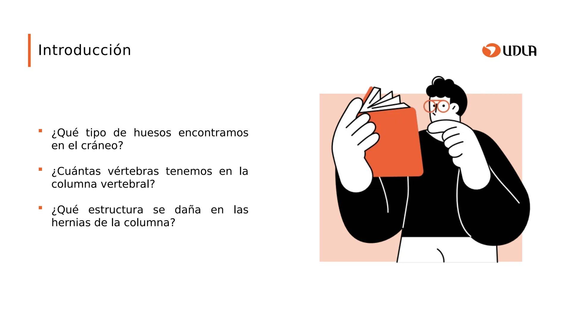 03
01
02
04
UDLA
UNIVERSIDAD DE LAS AMÉRICAS
Cabeza y columna
vertebral
Unidad 2 : Sistema Locomotor.
Asignatura : MYF 101 - Morfología y fu