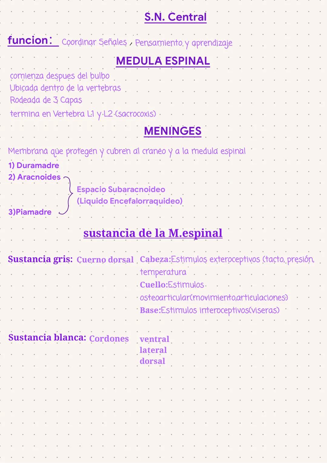 Sistema Nervioso
Se organizan en 3 sistemas:
Encefalo
Medulan
espinal
Cerebro
cerebelo
tronco encefalico
S.N
- central:
S.N
Nervios Craneale