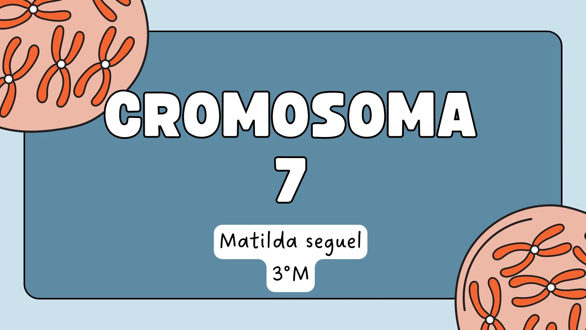 # CROMOSOMA
7
Matilda seguel
3°M GBA
Gaucher disease.
HPC1
Prostate cancer
PS2
Alzheimer disease
UROD
Porphyria cutanea tarda
GLC1A
Glauc
