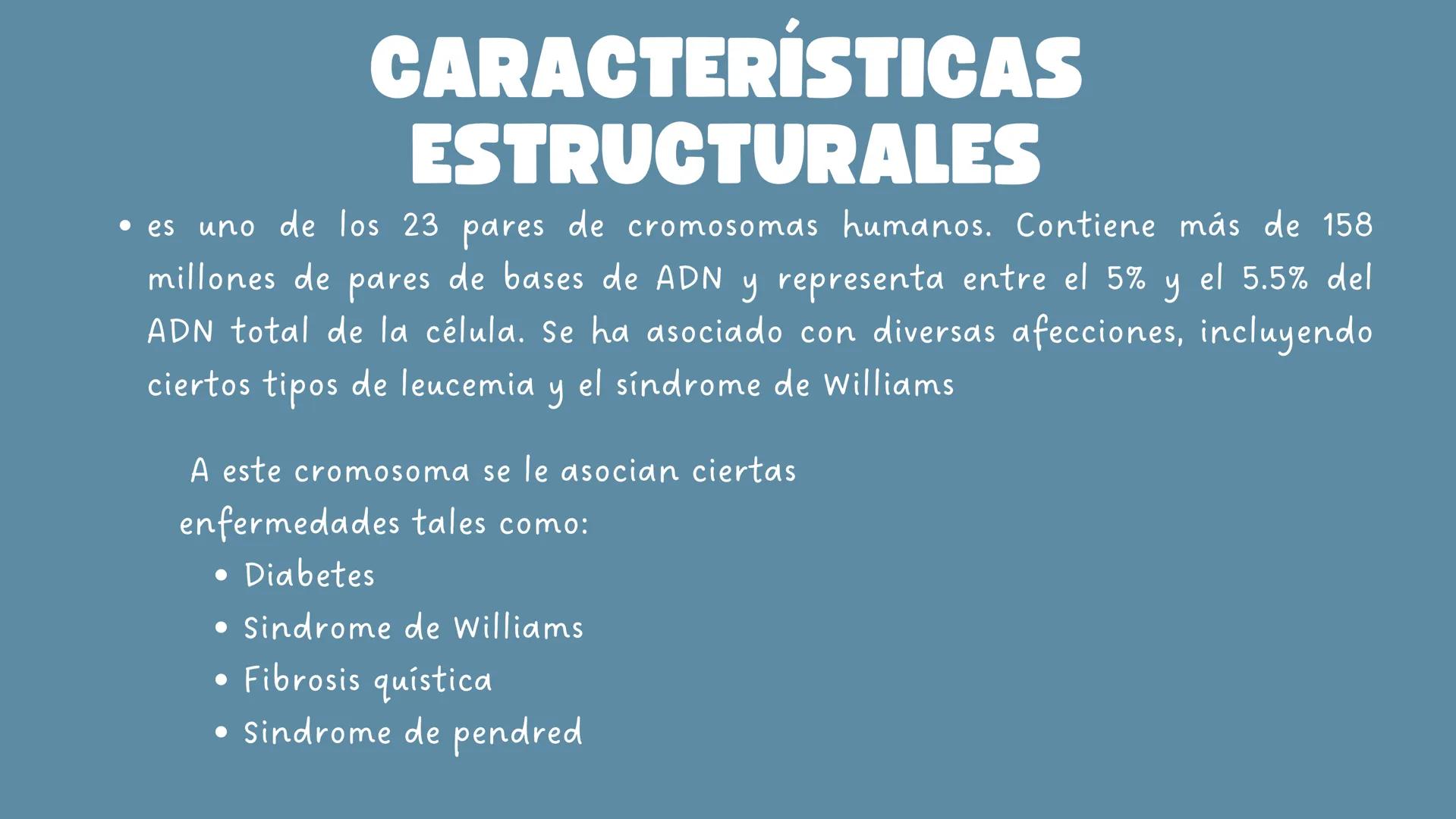 # CROMOSOMA
7
Matilda seguel
3°M GBA
Gaucher disease.
HPC1
Prostate cancer
PS2
Alzheimer disease
UROD
Porphyria cutanea tarda
GLC1A
Glauc