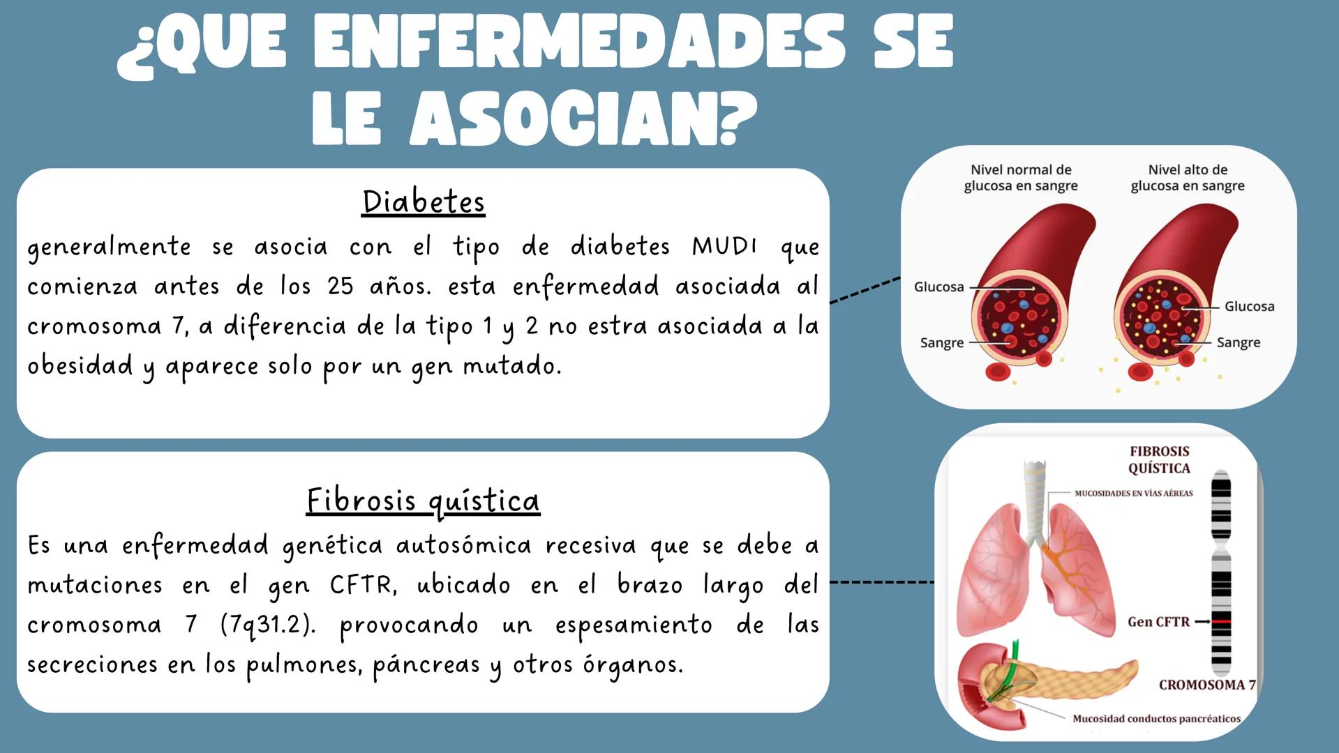 # CROMOSOMA
7
Matilda seguel
3°M GBA
Gaucher disease.
HPC1
Prostate cancer
PS2
Alzheimer disease
UROD
Porphyria cutanea tarda
GLC1A
Glauc