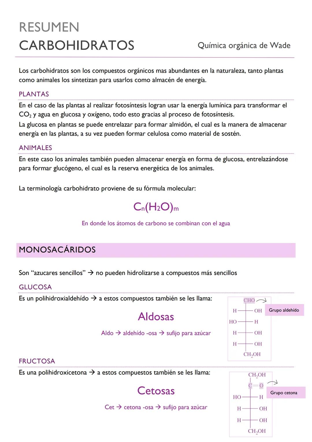 Resumen carbohidratos