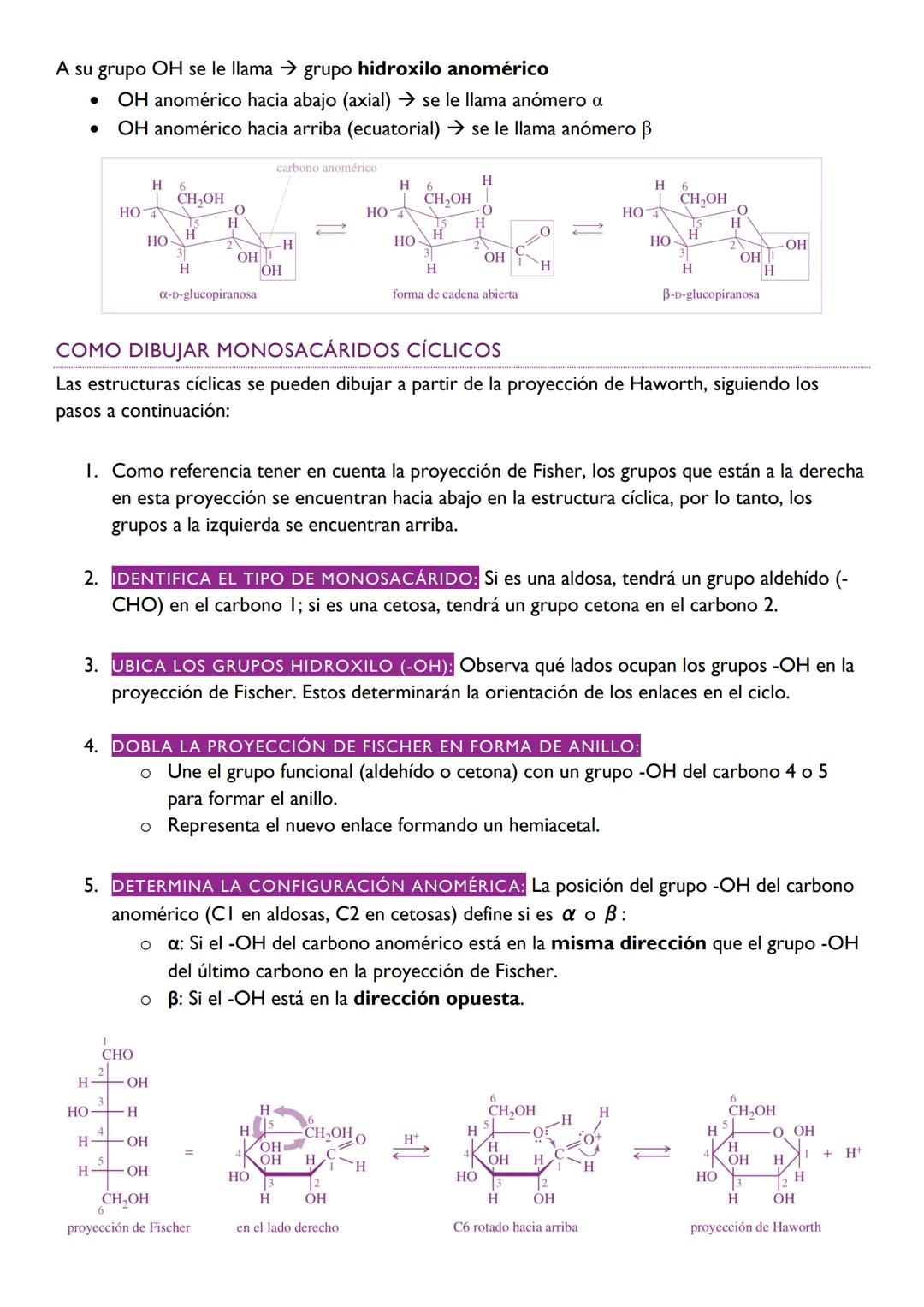 RESUMEN
CARBOHIDRATOS
Química orgánica de Wade
Los carbohidratos son los compuestos orgánicos mas abundantes en la naturaleza, tanto plantas