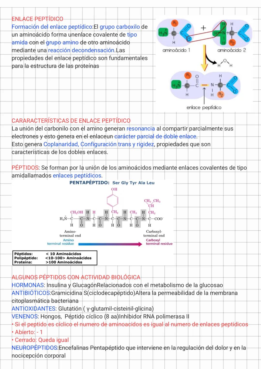 Aminoácidos y Péptidos
ESTRUCTURA
COO
GRUPO
H_{3}N^{+}-C-H
GRUPO
CARBOXILO
R
CADENA LATERAL
VARIABLE EN CADA UNO
DE LOS AMINOÁCIDOS
La caden