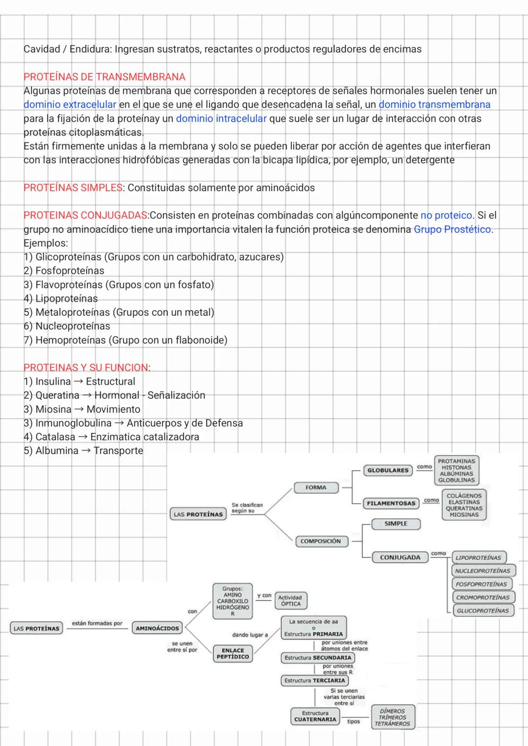 FUNCION DE PROTEINAS
PROTEINAS: Son los instrumentos moleculares mediante los que se expresa la información genética.
Son millones y present