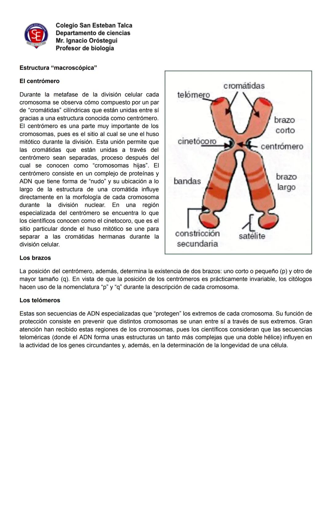 # SE
Colegio San Esteban Talca
Departamento de ciencias
Mr. Ignacio Oróstegui
Profesor de biología
Guide 2 unidad 3:
Anomalías cromosómicas
