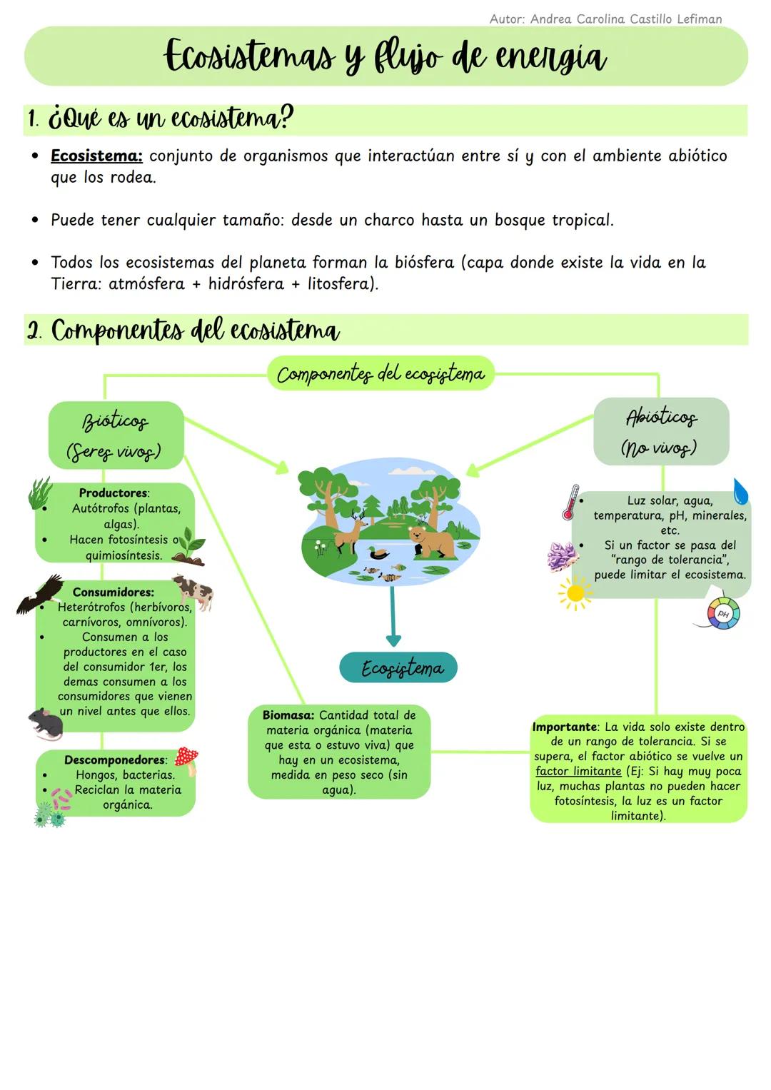 Ecosistemas y Flujo de Energía – Apuntes Completos para 1° Medio 💚📚🧠💪