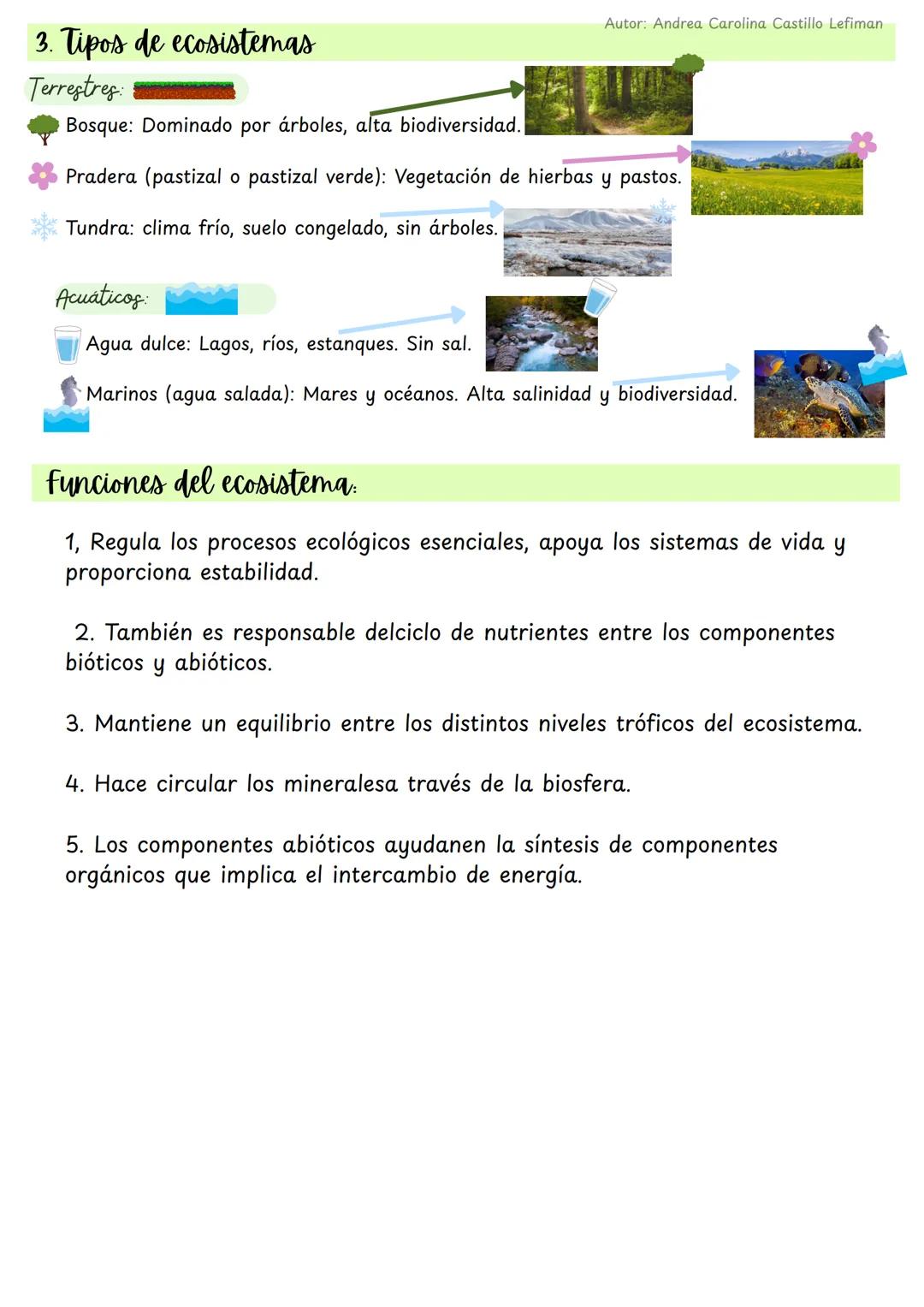 Autor: Andrea Carolina Castillo Lefiman
Ecosistemas y flujo de energia
1. ¿Qué es un ecosistema?
• Ecosistema: conjunto de organismos que in