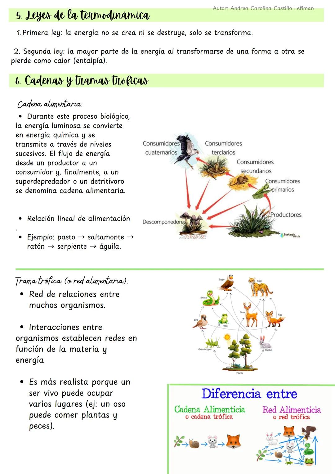 Autor: Andrea Carolina Castillo Lefiman
Ecosistemas y flujo de energia
1. ¿Qué es un ecosistema?
• Ecosistema: conjunto de organismos que in